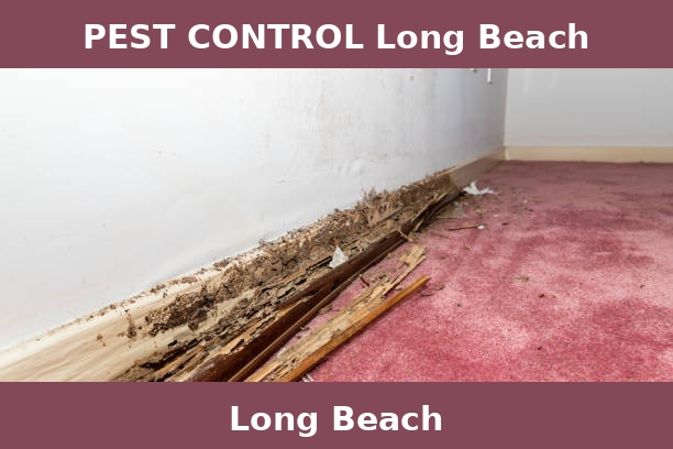 PEST CONTROL Long Beach